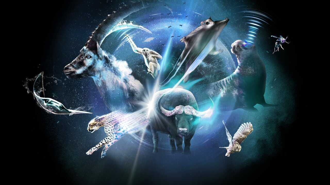 ES - Super/Natural (2022) 0
