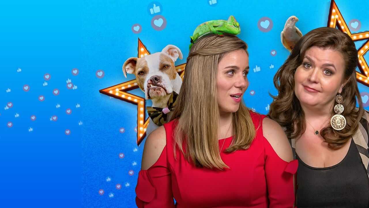 FR - Pet Stars 0