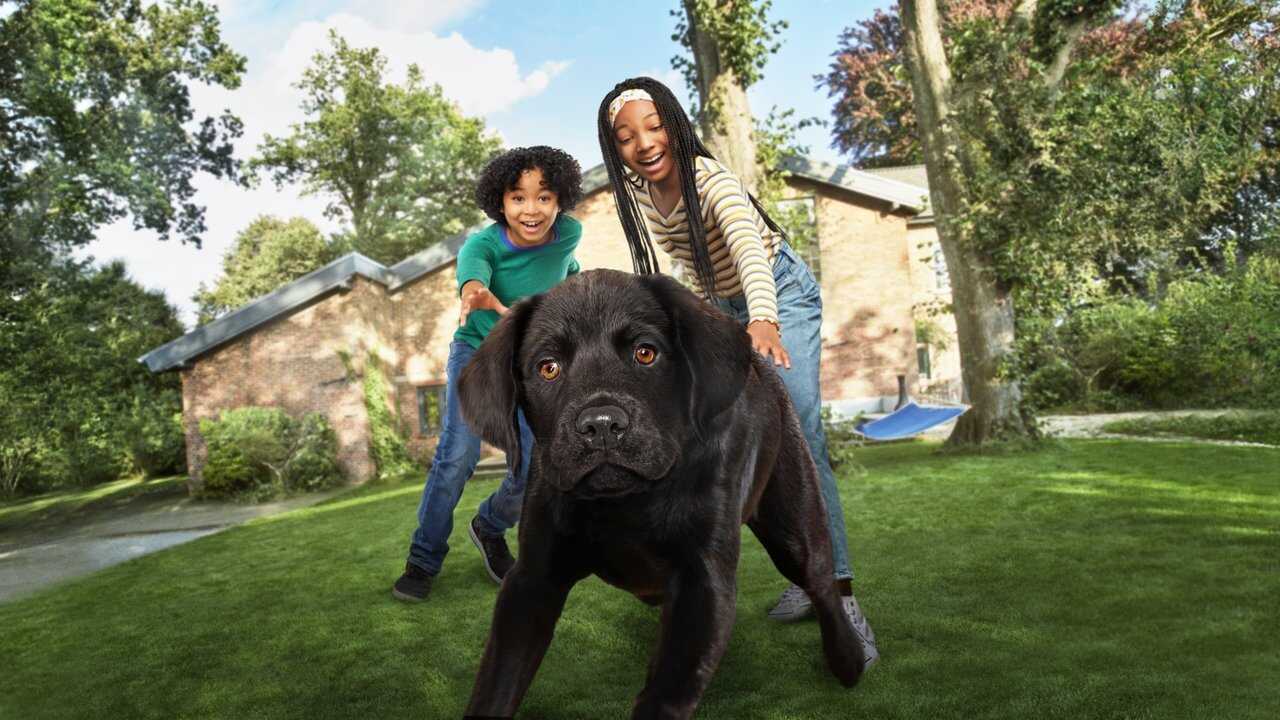DE - Puppy Place (2021) 3