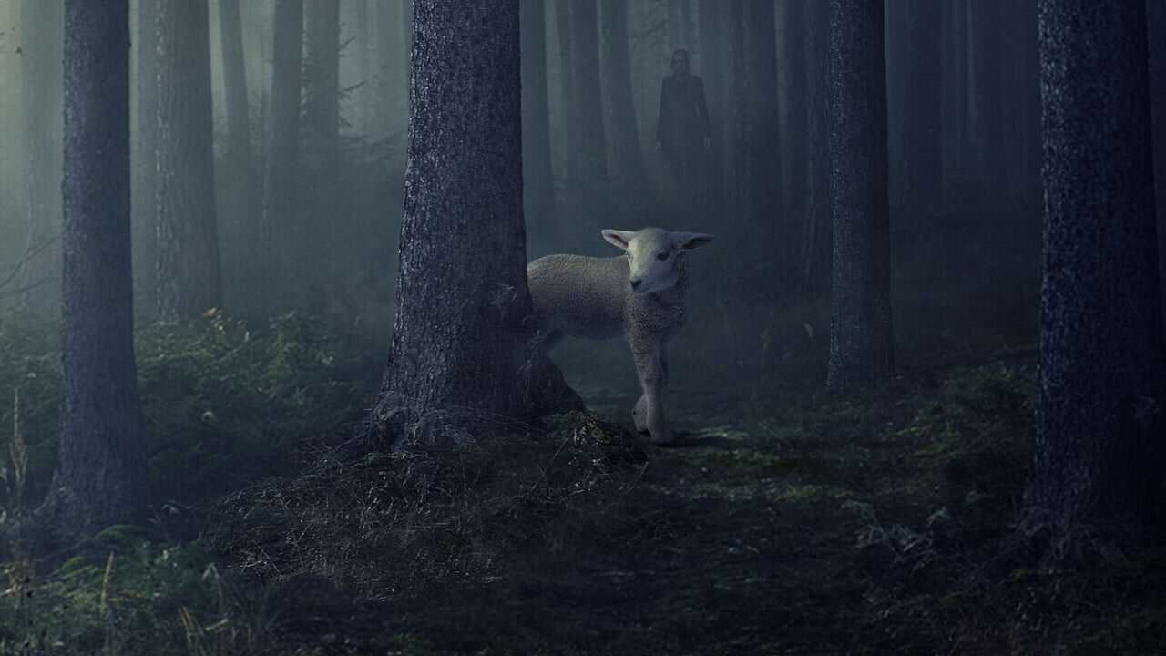 EN - Clarice (2021) 1