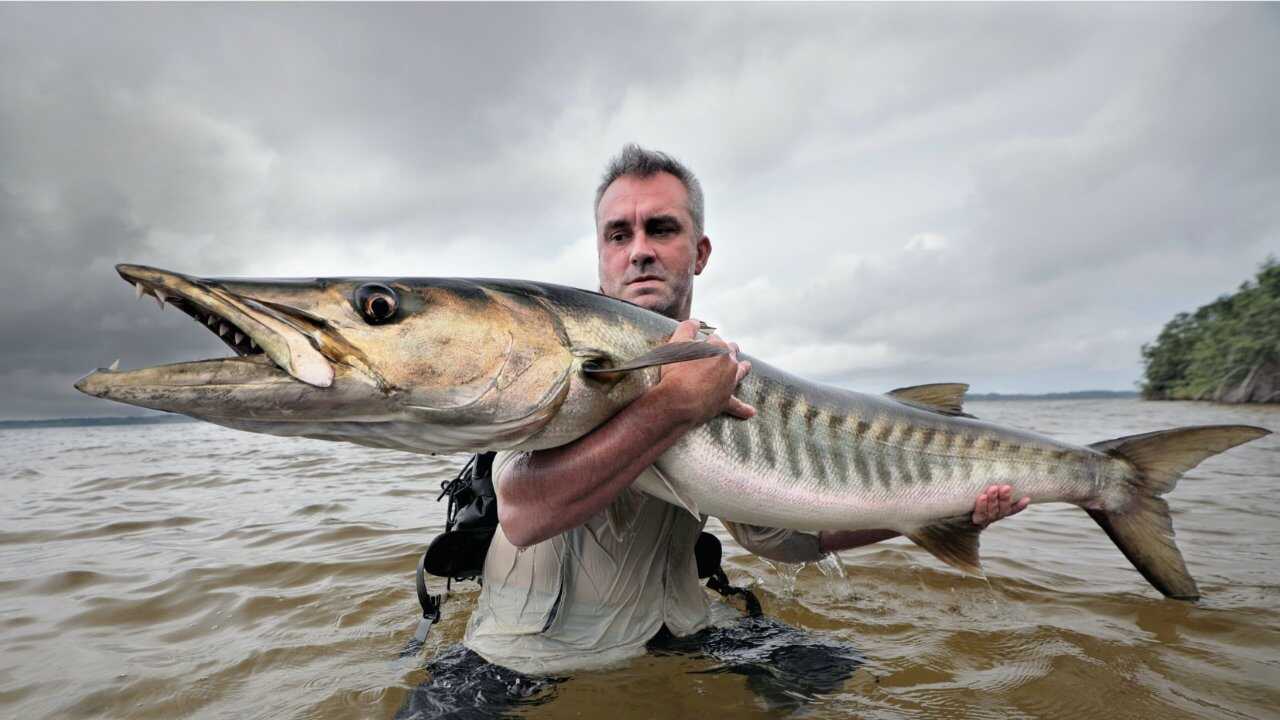 EN - Chasing Monsters (2015) 0
