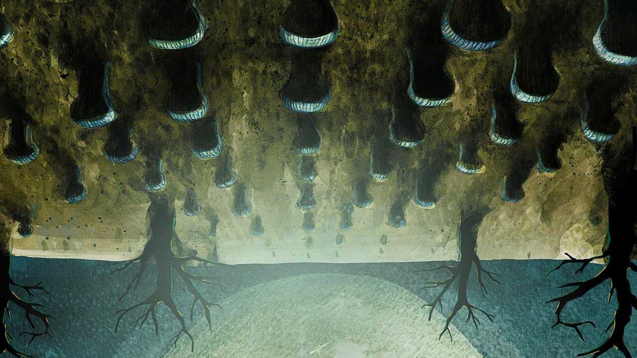 FR - Lore 0