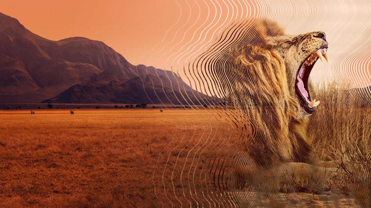 FR - Le Monde secret du son avec David Attenborough (2024) 3
