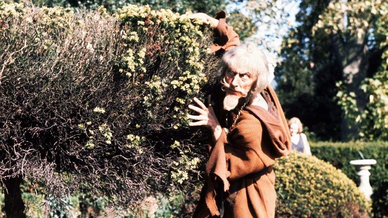 NL - CATWEAZLE (1970) 0