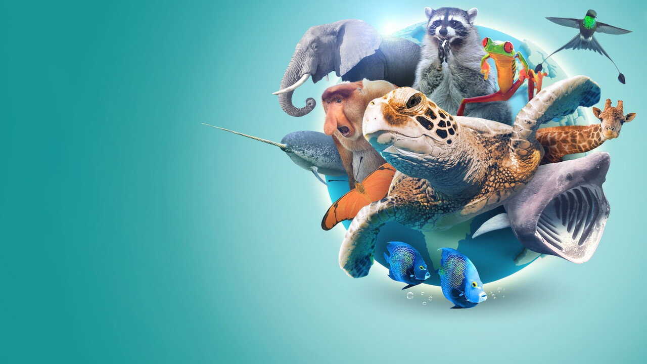 AR - Absurd Planet (2020) (US) 1