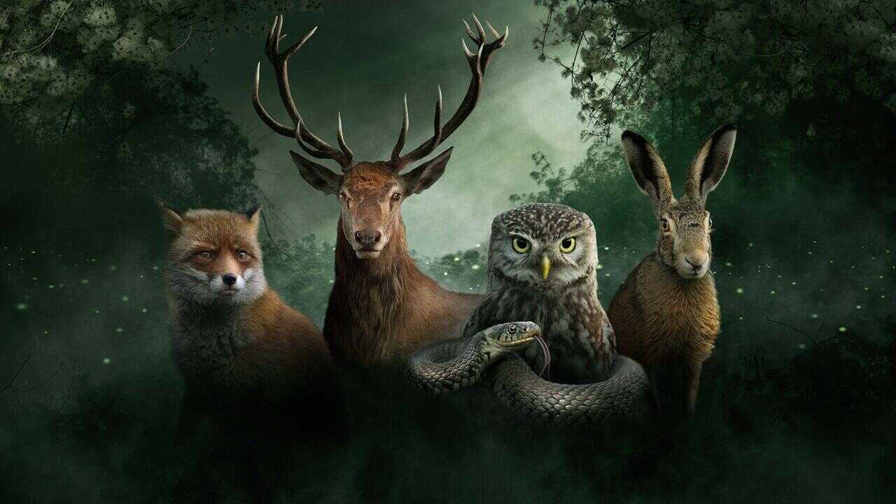 NL - ONZE NATUUR 3