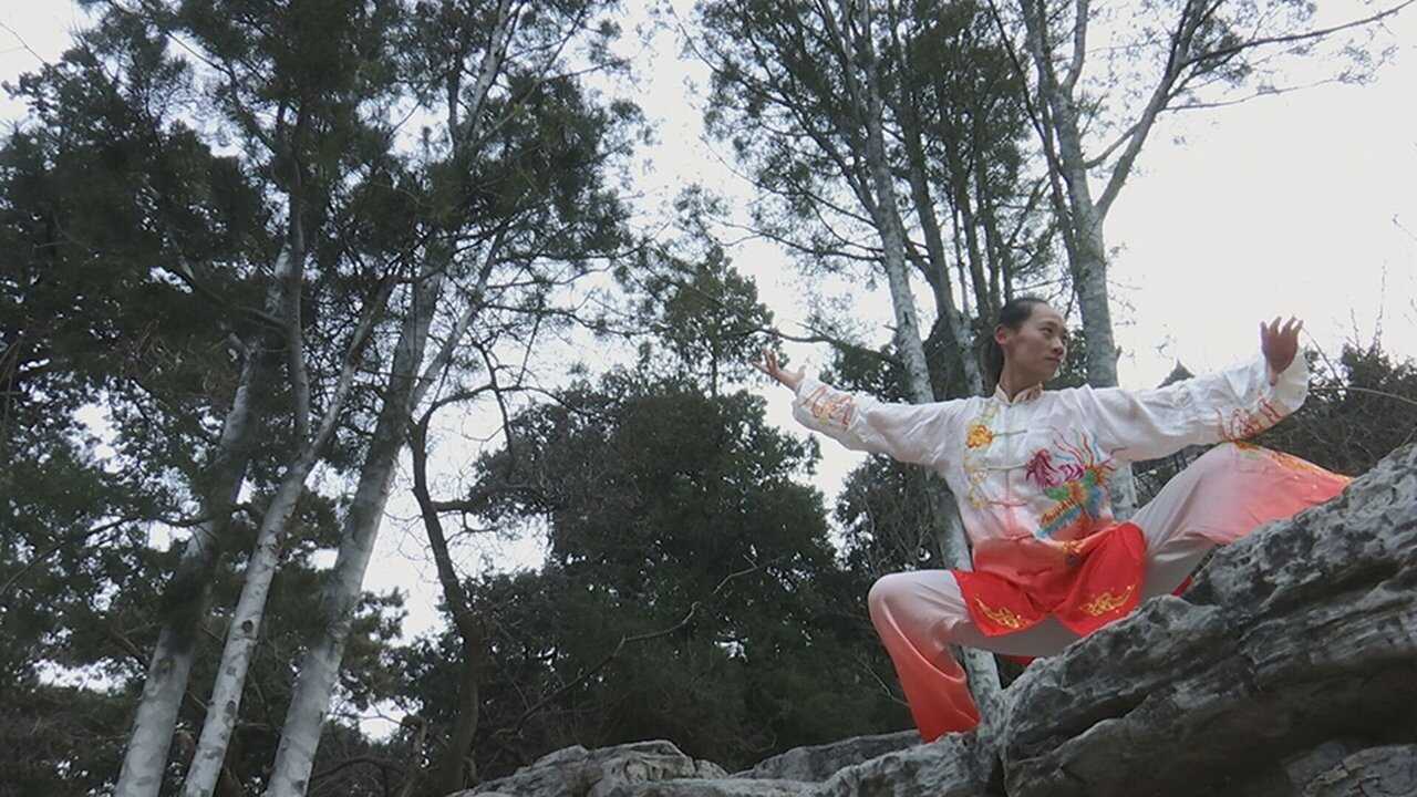 FR - Kung fu Révolution(s) 0