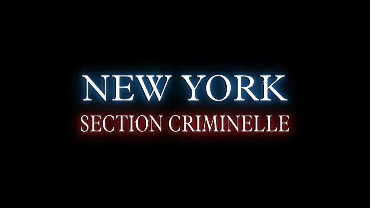 EN - Law & Order: Criminal Intent (2001) 3