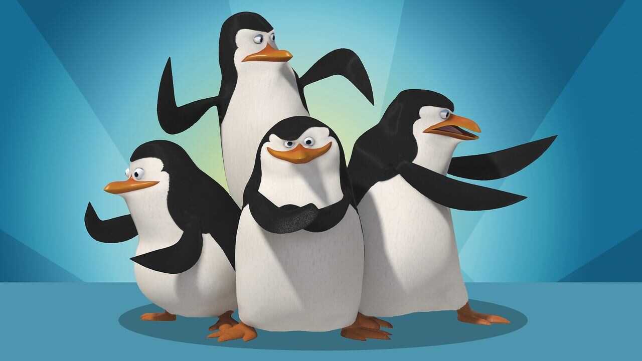 DE - Die Pinguine aus Madagascar (2008) 0