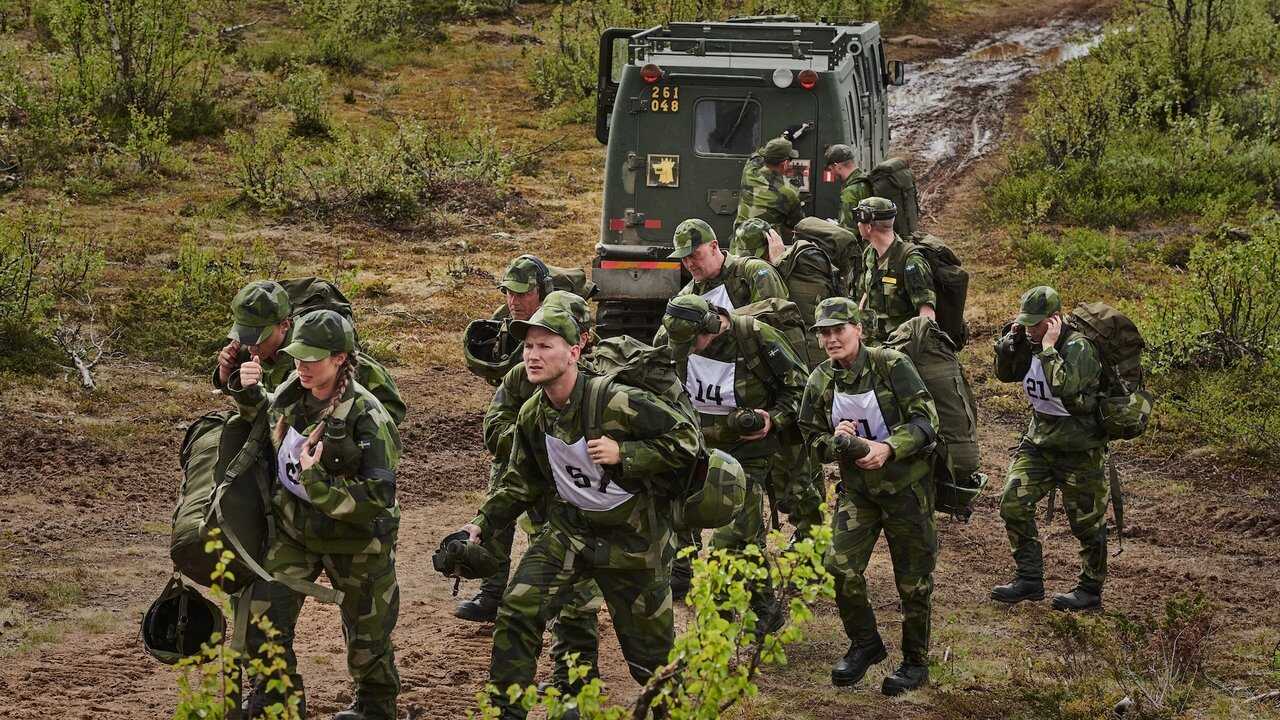 [SE] Kompani Svan 0