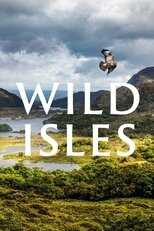 AR - Wild Isles (2023) 12