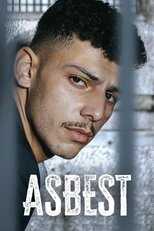 DE - Asbest (2023) 12