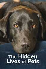 AR - The Secret Life of Our Pets (2022) 12