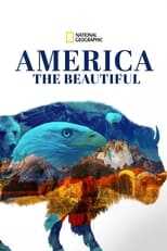 NL - AMERICA THE BEATIFUL 12