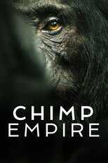 NF - Chimp Empire 12