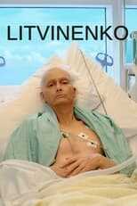 EN - Litvinenko (2022) 12