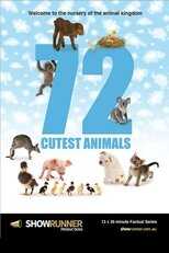 FR - 72 Animaux Mignons 12