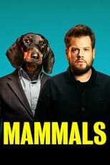 IT - Mammals 12