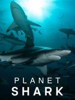EN - Planet Shark (2022) 12