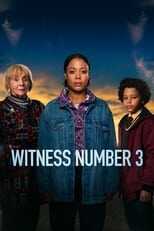 EN - Witness Number 3 (2022) 12
