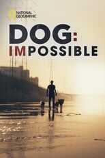 NL - DOG IMPOSSIBLE 12