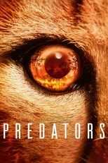 [SE] Predators 12