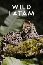 AR - Wild Latam (2020) 12