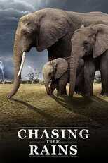 EN - Chasing the Rains (2023) 12