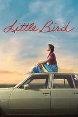 AR - Little Bird (2023) 12
