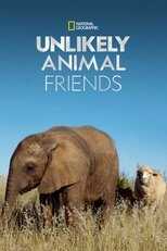 NL - UNLIKELY ANIMAL FRIENDS 12
