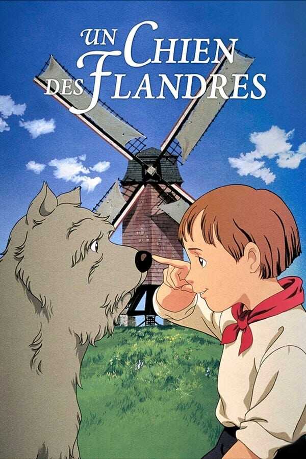 FR - Un chien des Flandres 12
