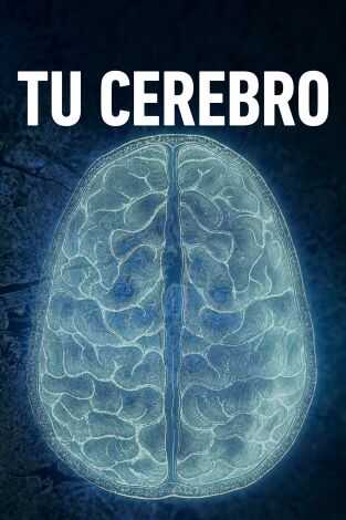 ES - Tu cerebro: La percepción 12
