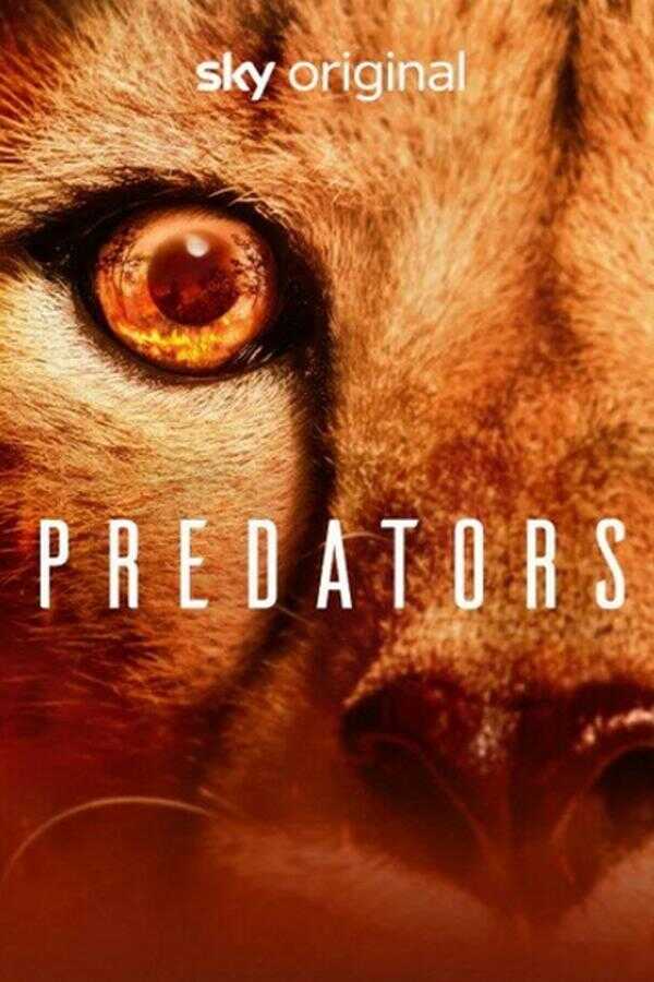 EN - Predators (2022) 12